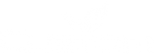 Logo1-300x107.png