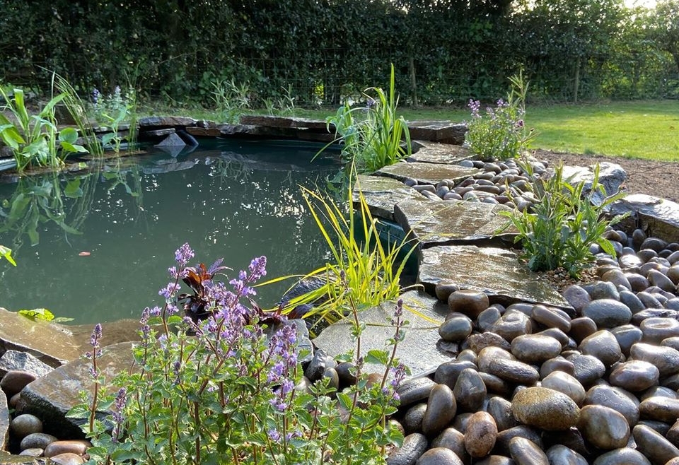 Pond and Water Fall