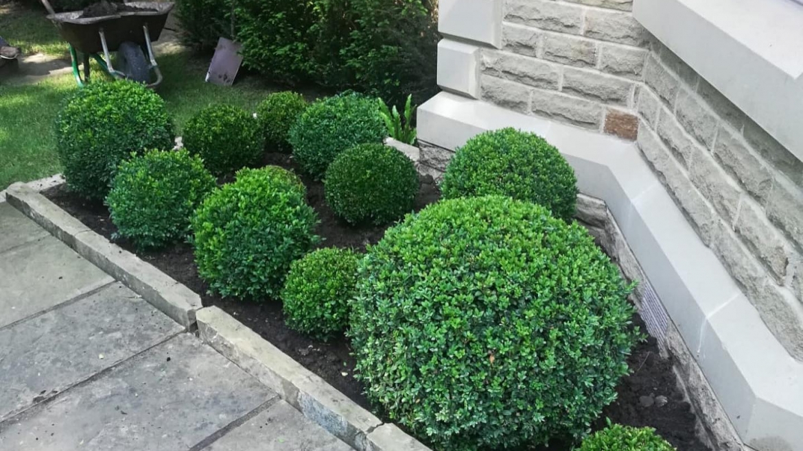 Flower Beds in Bowdon